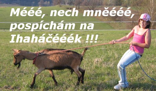 Klikněte sem pro podrobné informace o Ihaháčku 2010.