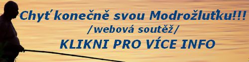 Klikněte sem pro podrobné informace o webové ihahasoutěži Modrožluťka.